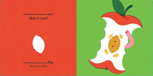 Little life cycle: Pip