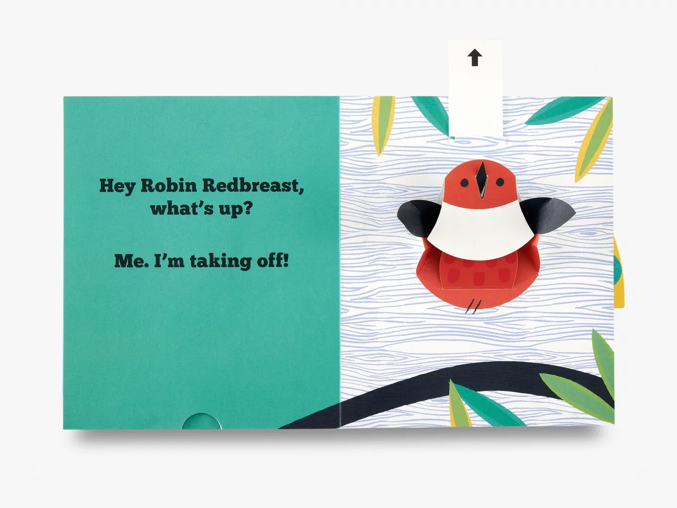 What's Up? A Flip Flap Pop Up Book