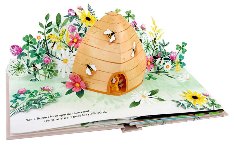 Flora: A Botanical Pop-Up Book