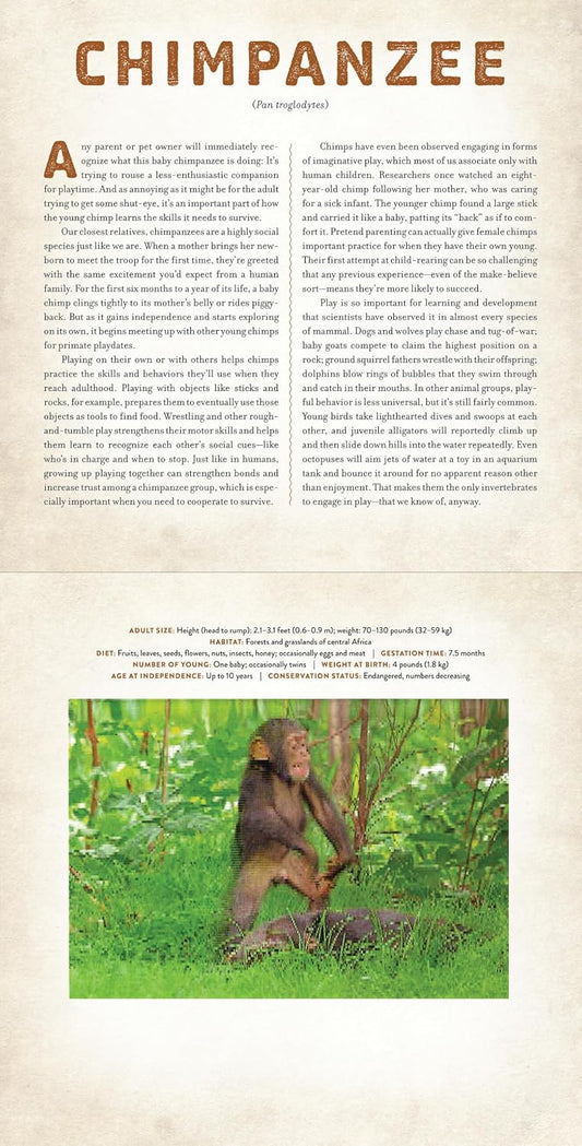 Babies: A Photicular Book