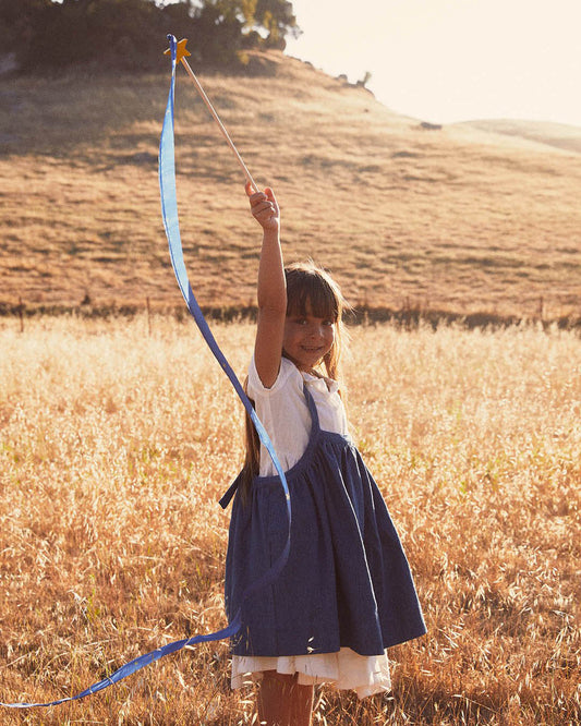 Sarah's Silks 彩帶(多款)