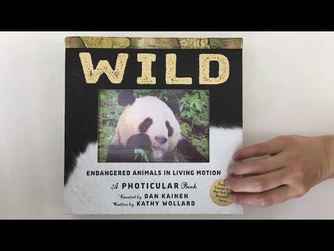 Wild: A Photicular Book