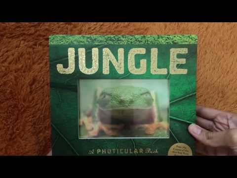 Jungle: A Photicular Book