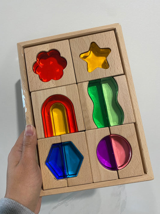 【預購】My little creator- 自然與森林