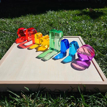 【預購】My little creator- 自然與森林