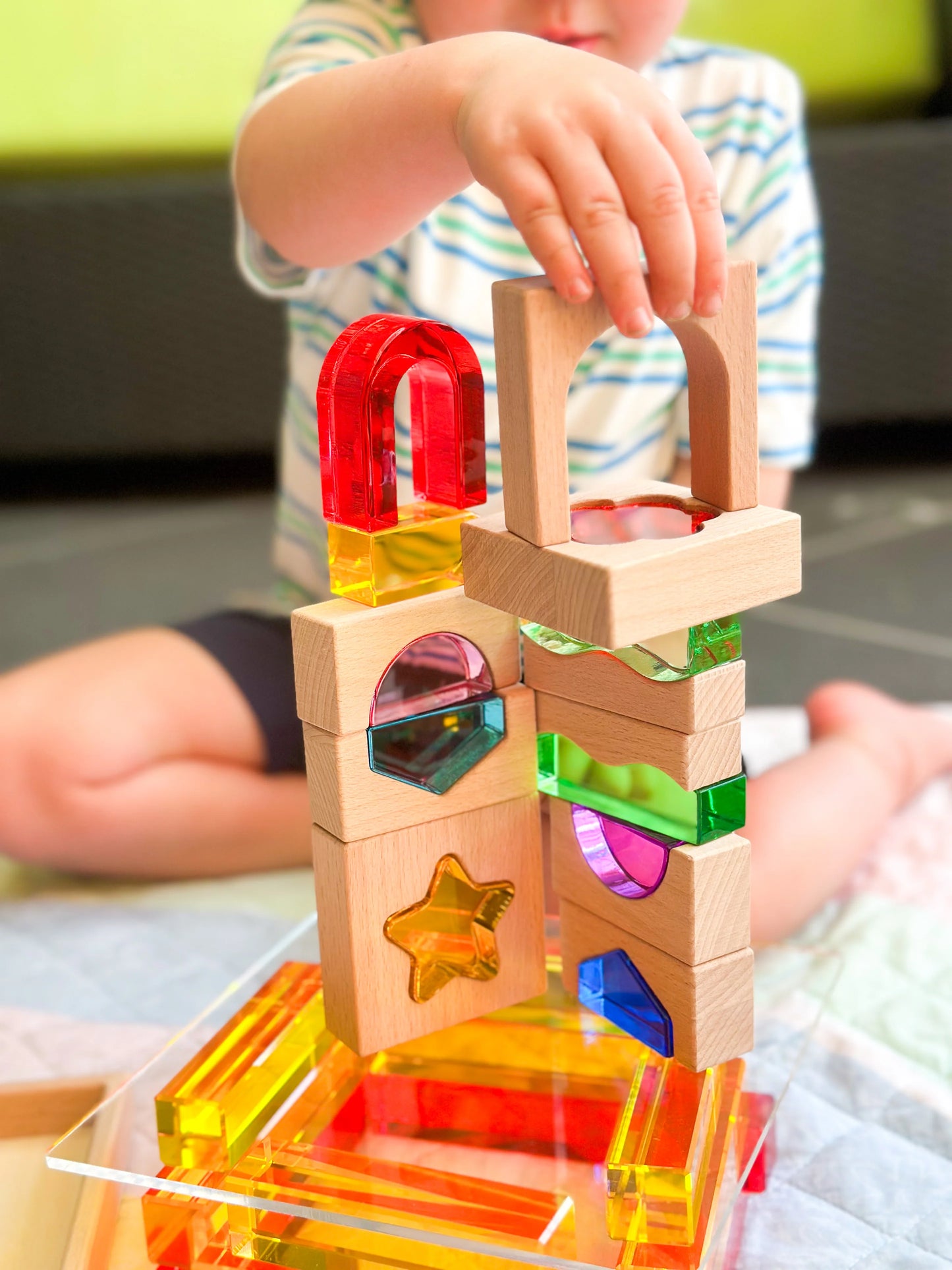 【預購】My little creator- 自然與森林