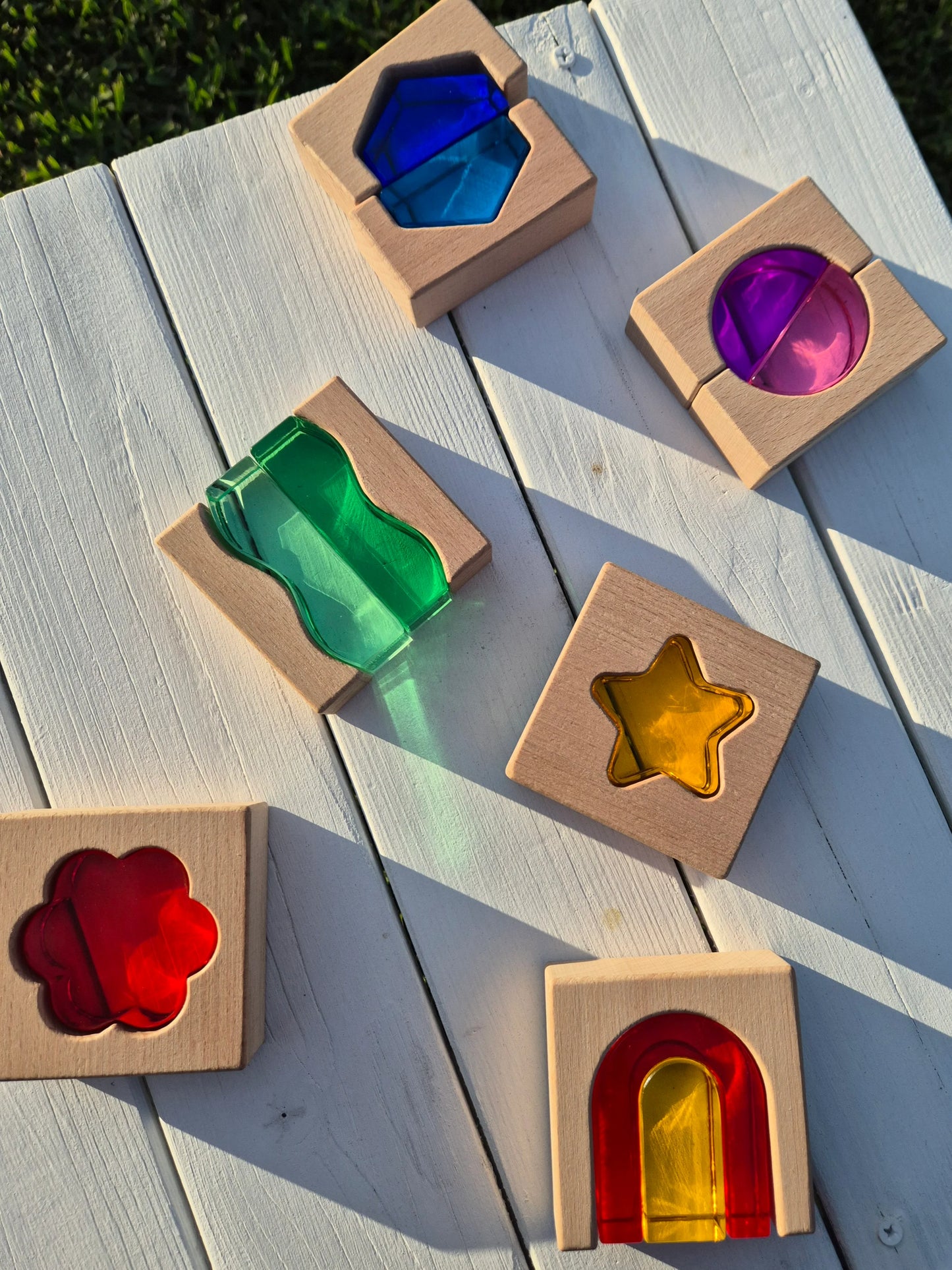 【預購】My little creator- 自然與森林