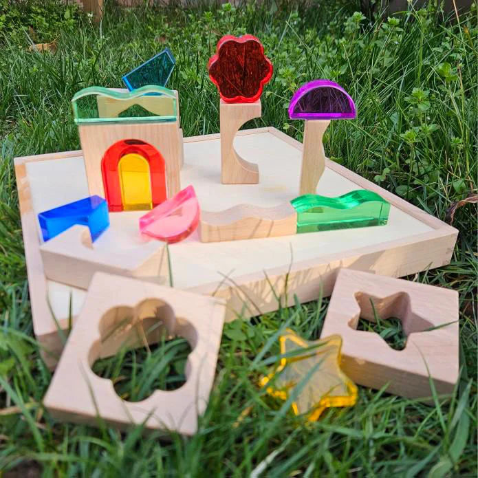 【預購】My little creator- 自然與森林