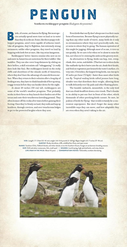 Birds: A Photicular Book