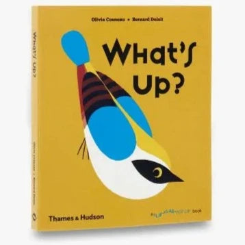 What's Up? A Flip Flap Pop Up Book