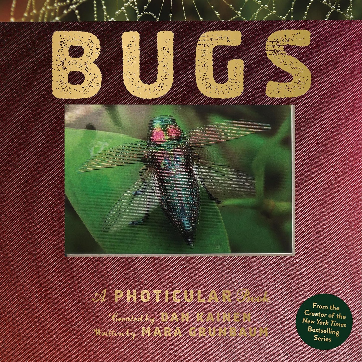 Bugs: A Photicular Book
