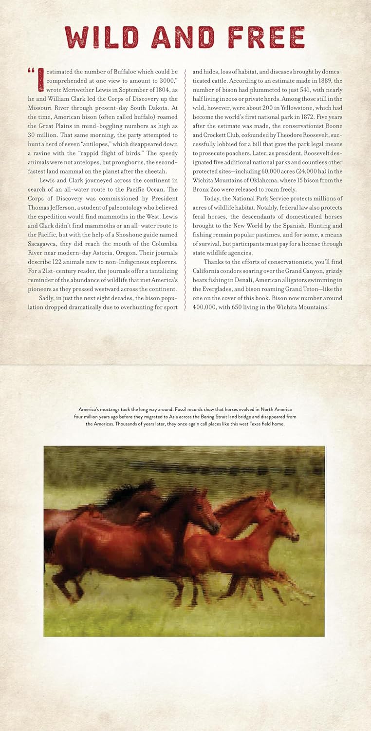America: A Photicular Book