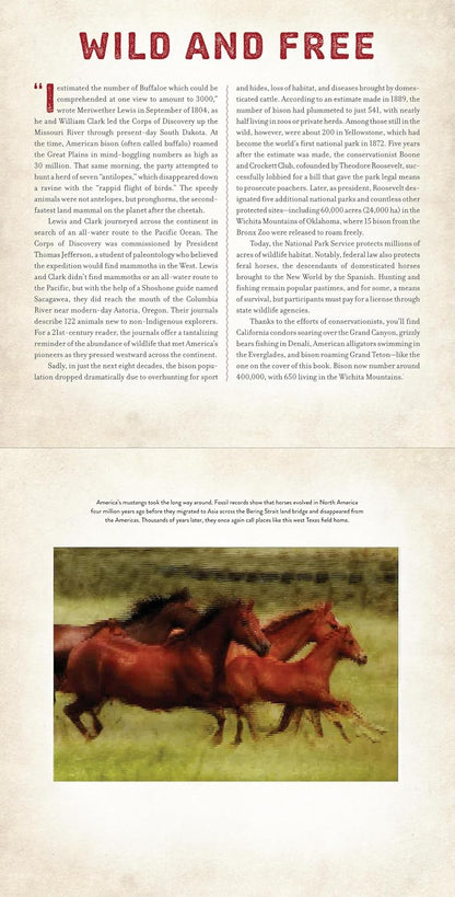 America: A Photicular Book