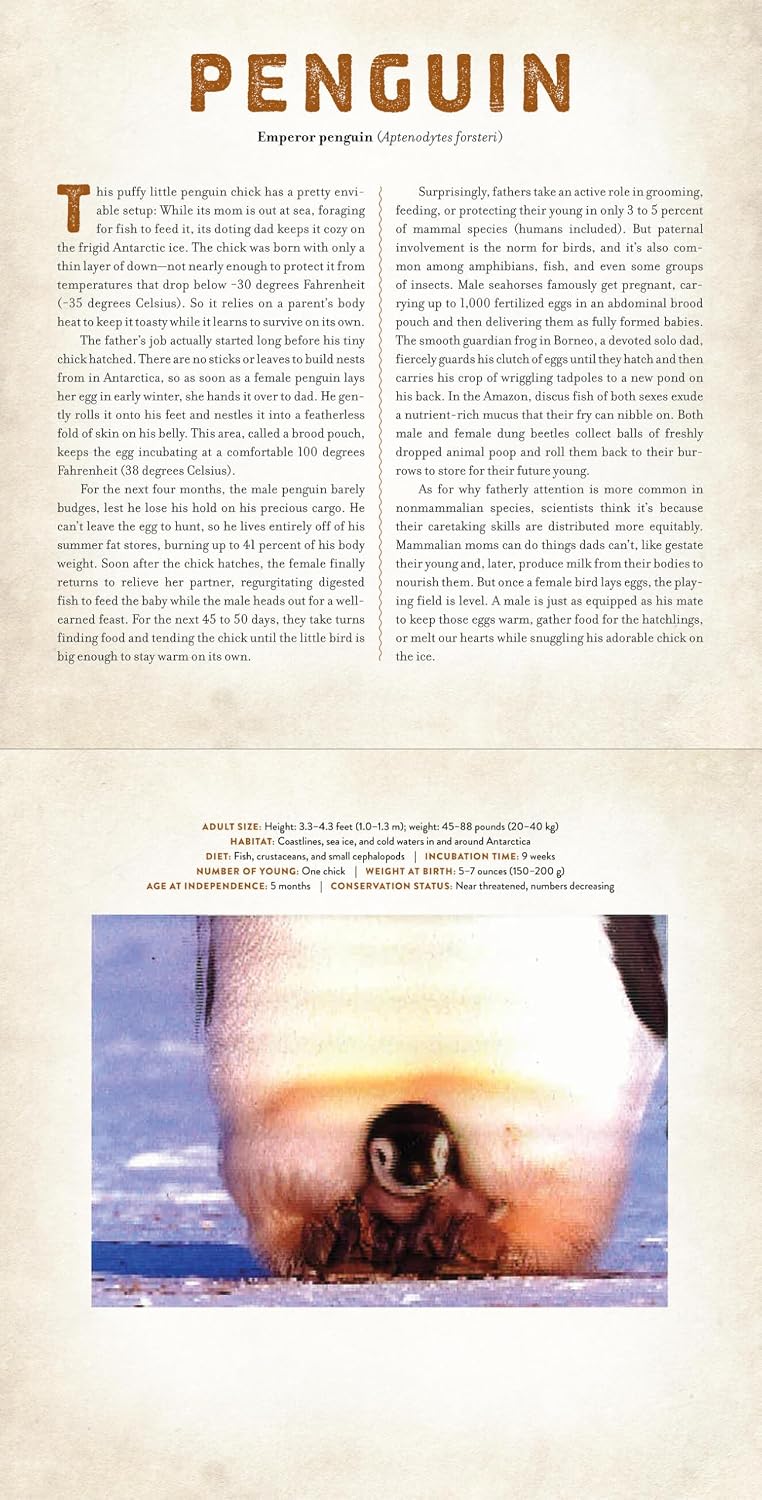 Babies: A Photicular Book