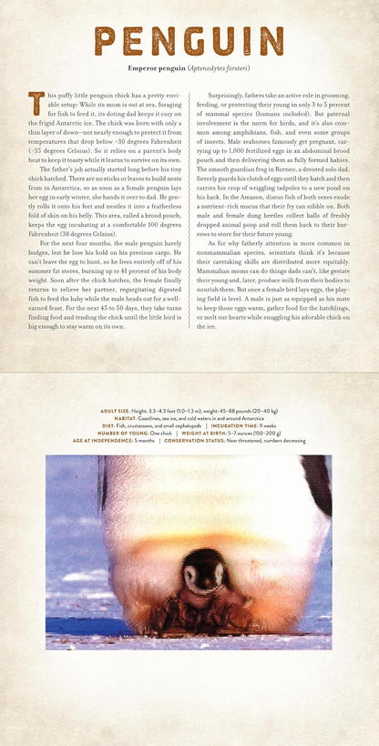 Babies: A Photicular Book