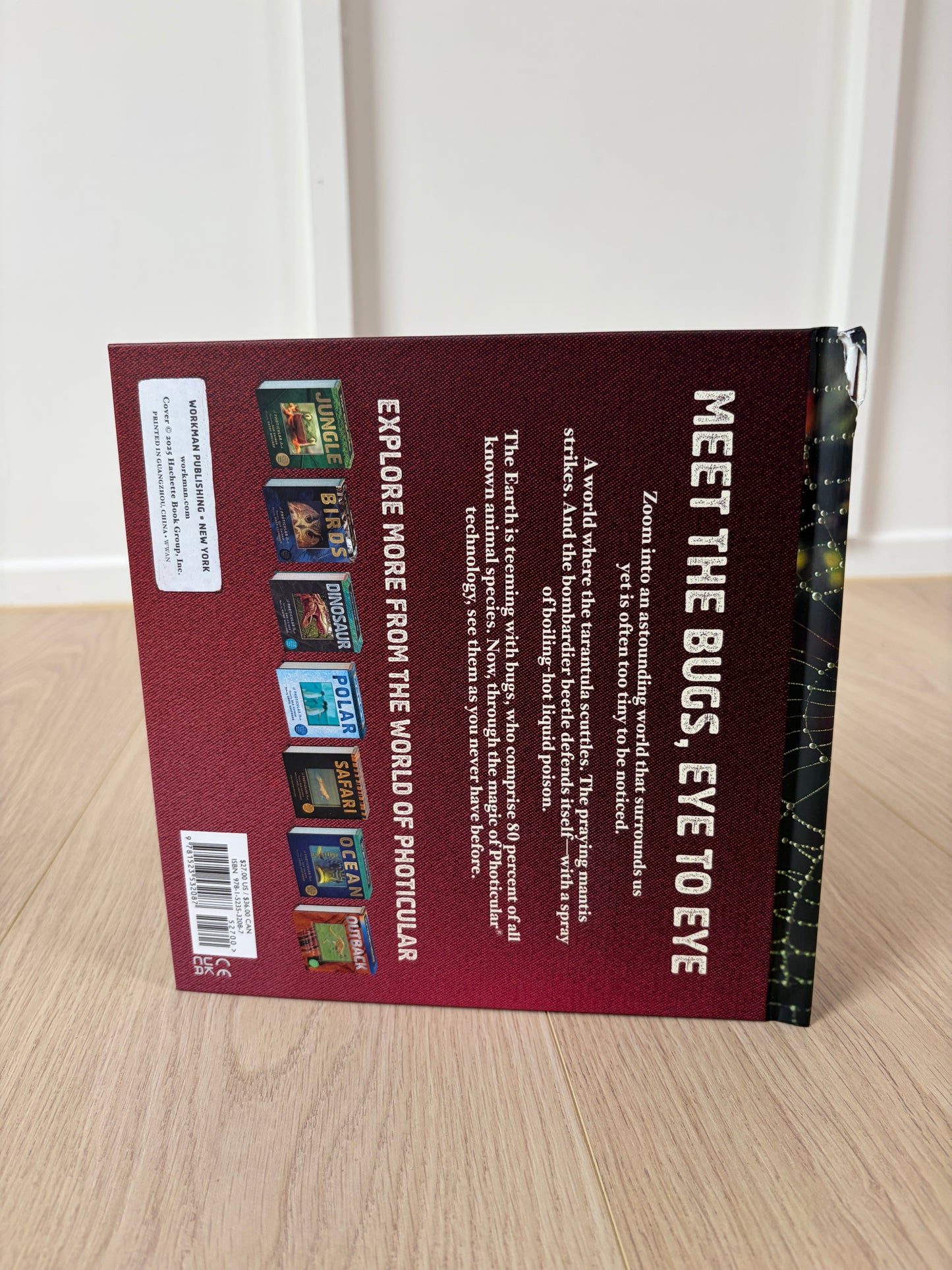 Bugs: A Photicular Book