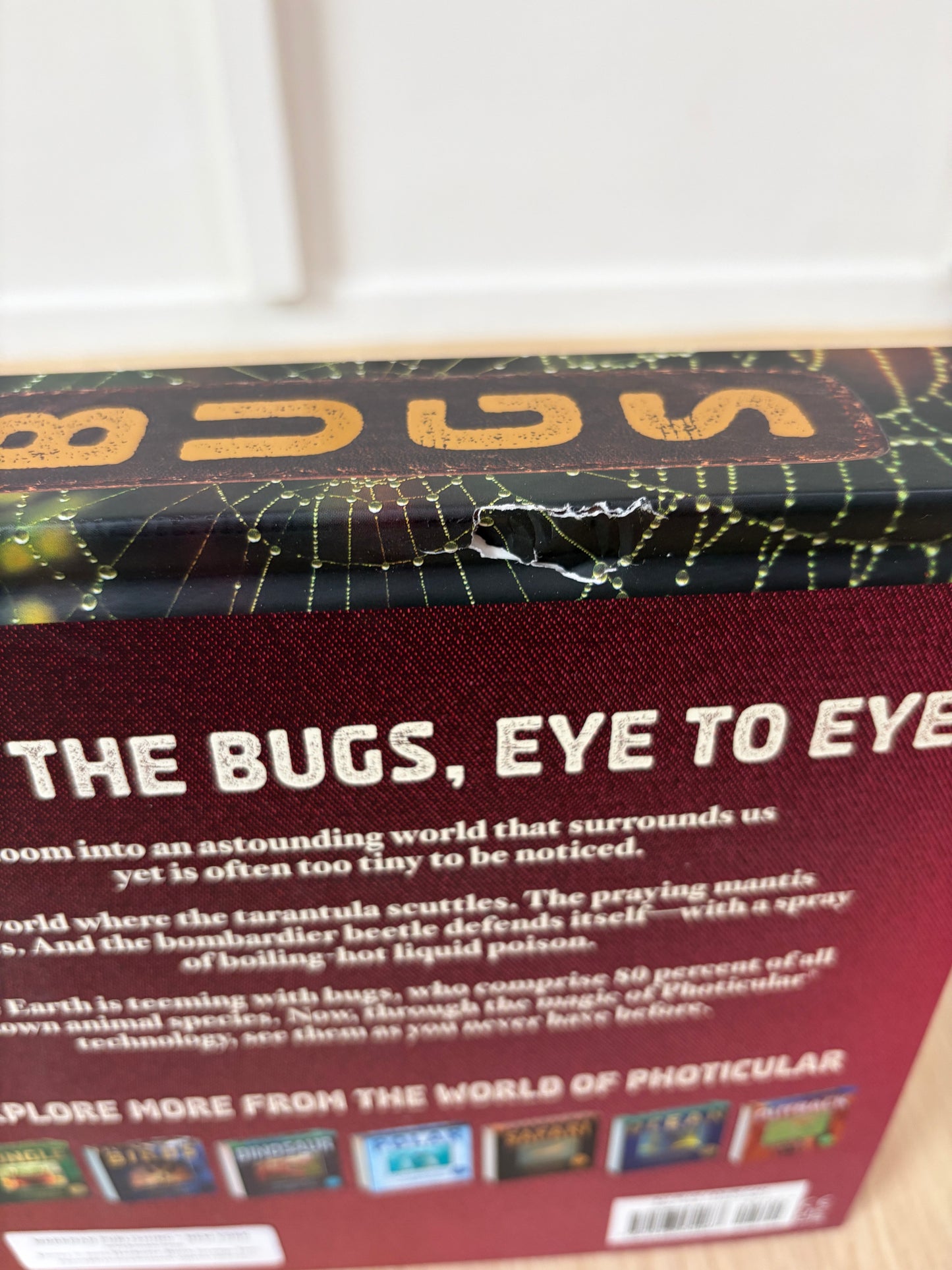 Bugs: A Photicular Book