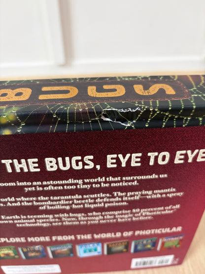 Bugs: A Photicular Book