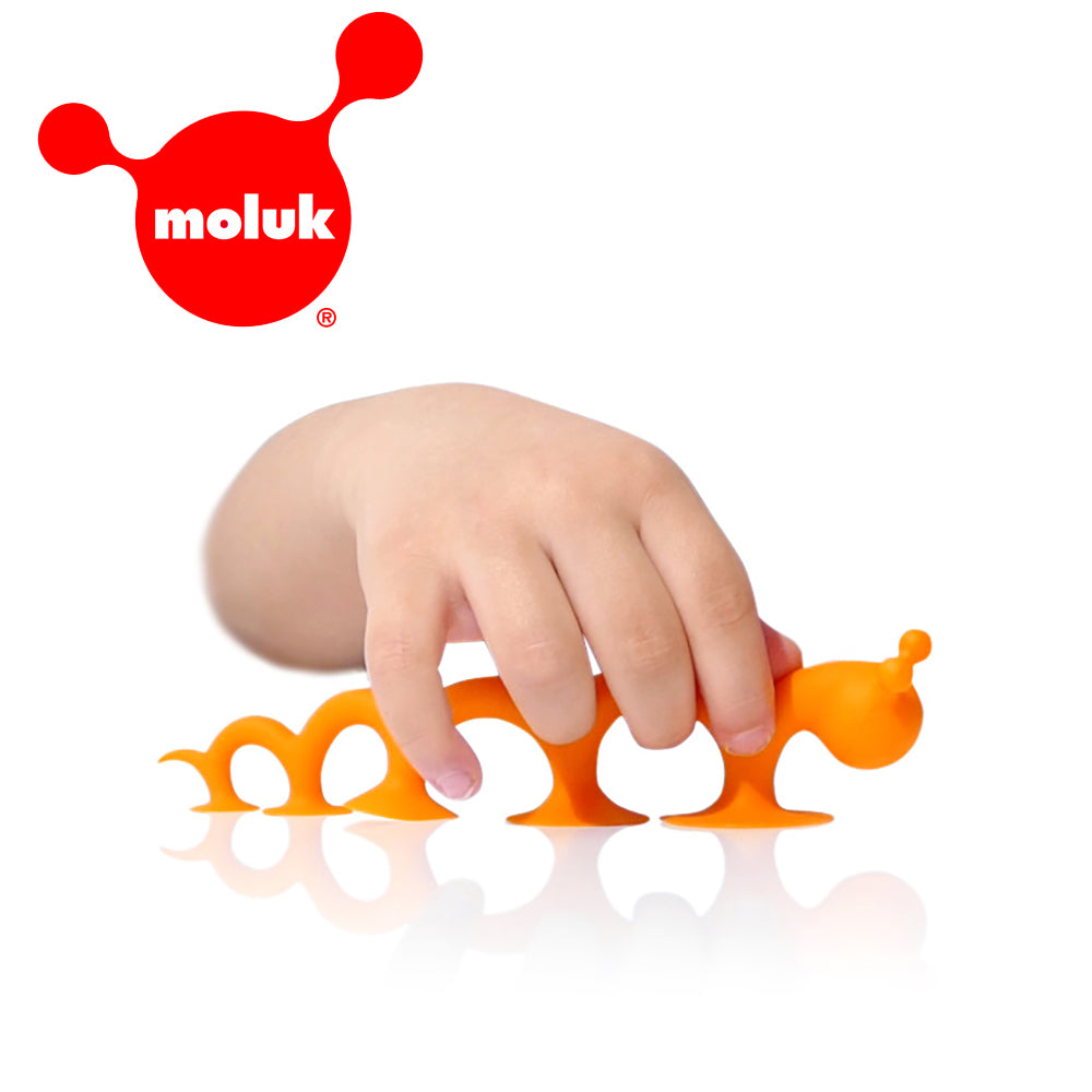 瑞士 Moluk Oogi 麻吉好朋友/大橘蟲