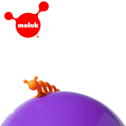 瑞士 Moluk Oogi 麻吉好朋友/大橘蟲