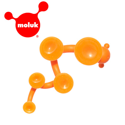 瑞士 Moluk Oogi 麻吉好朋友/大橘蟲