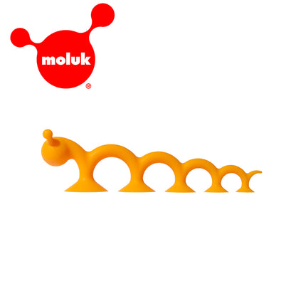 瑞士 Moluk Oogi 麻吉好朋友/大橘蟲