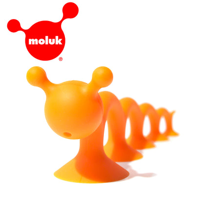瑞士 Moluk Oogi 麻吉好朋友/大橘蟲