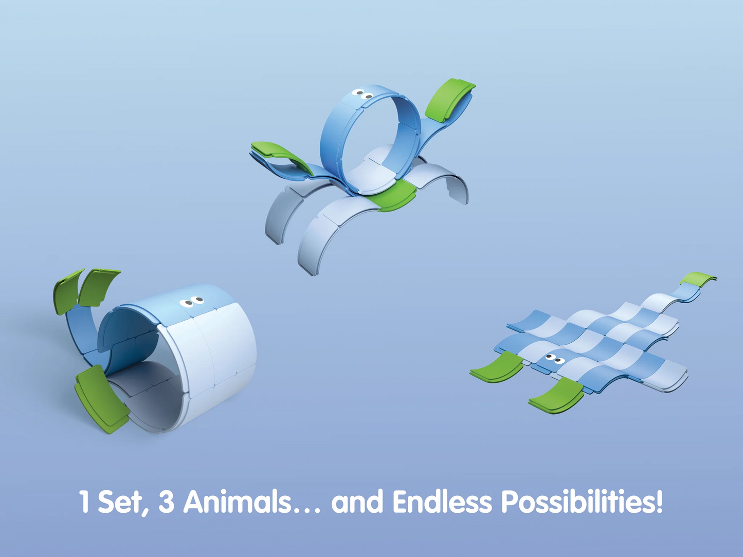 Waytoplay Arches 動物系列｜Sea Life 海洋生物 25件