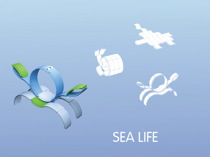 Waytoplay Arches 動物系列｜Sea Life 海洋生物 25件