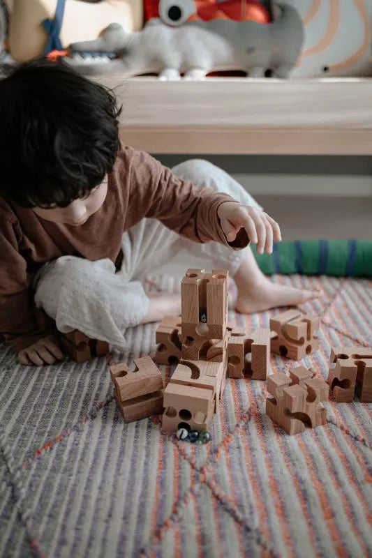 Omegarun 波蘭滾珠軌道積木